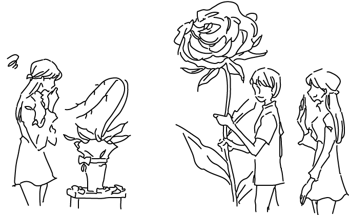 お花の処分に困る胡蝶蘭　コトハナの祝い花は大丈夫